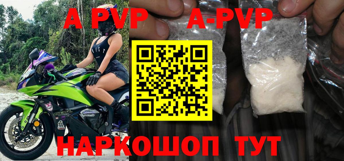 A PVP СК Городец