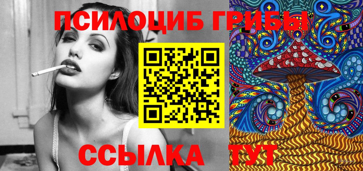 Городец  Псилоцибиновые грибы Psilocybine cubensis  Псилоцибиновые грибы прущие грибы  Вход с VPN 