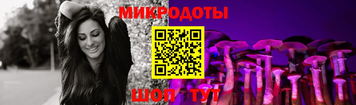 Галлюциногенные грибы Psilocybine cubensis Городец