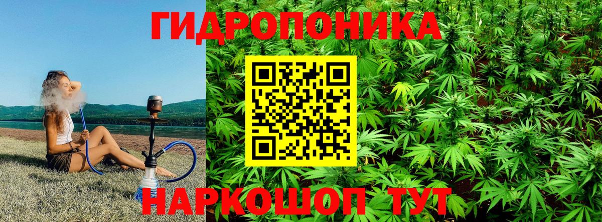 Конопля LSD WEED  Марихуана планчик  Бошки Шишки AK-47  Городец  Каннабис THC 21%  Вход с VPN 